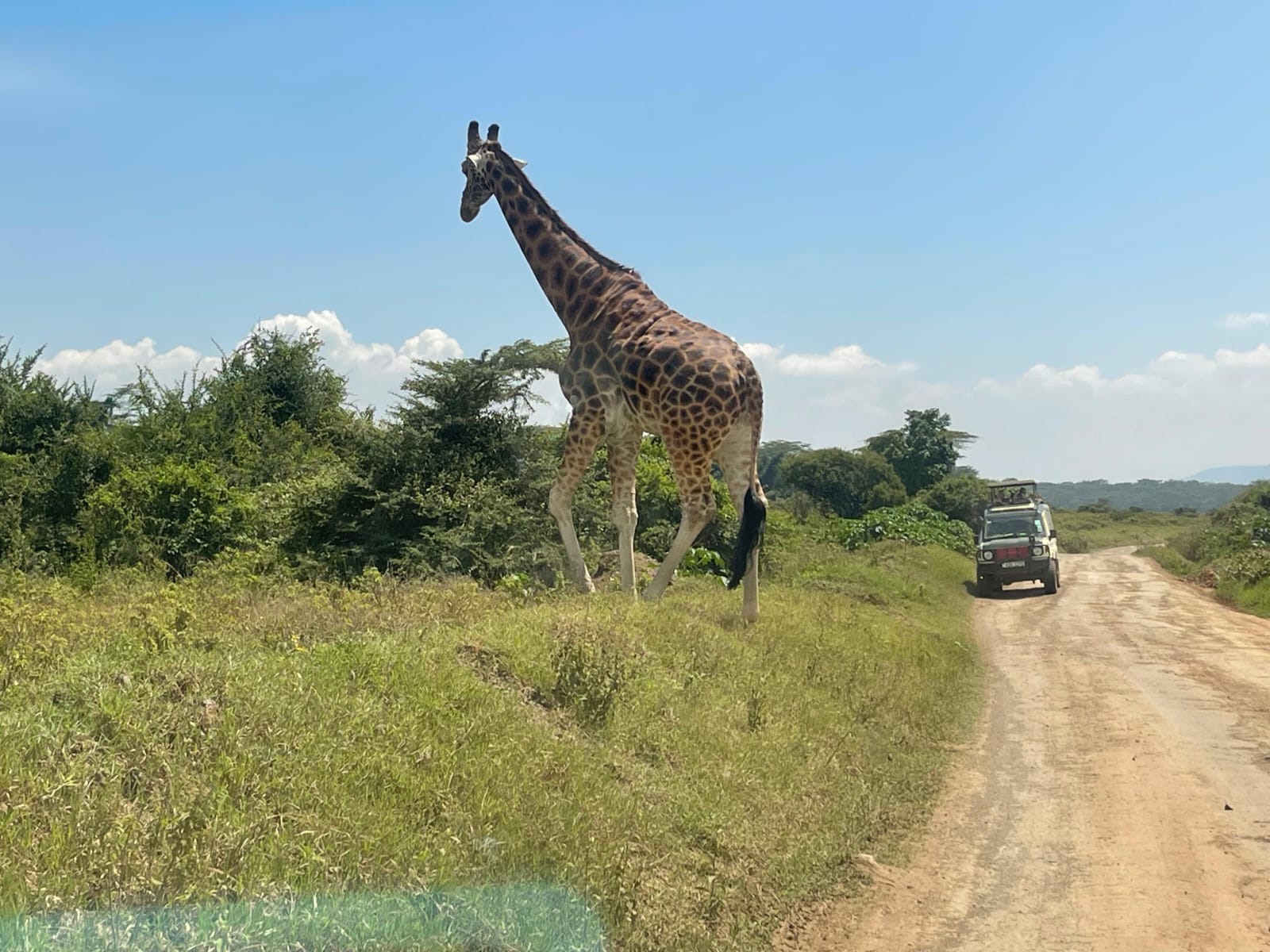 Nairobi National Park – open savannah game drive